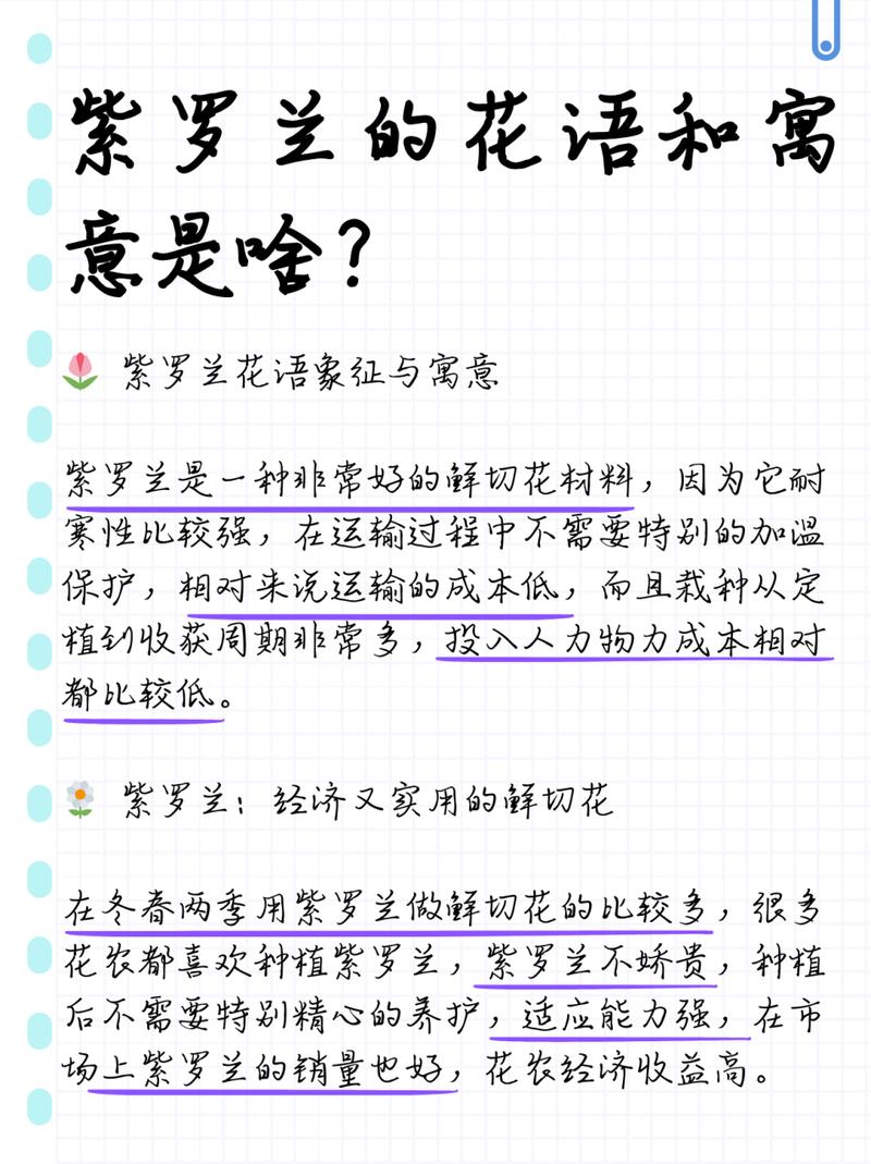 紫罗兰花代表着什么意义