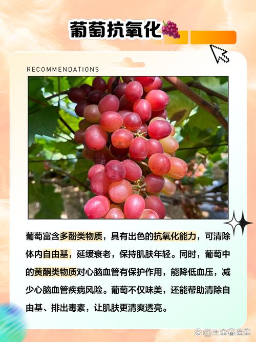 葡萄的功效与作用及营养价值