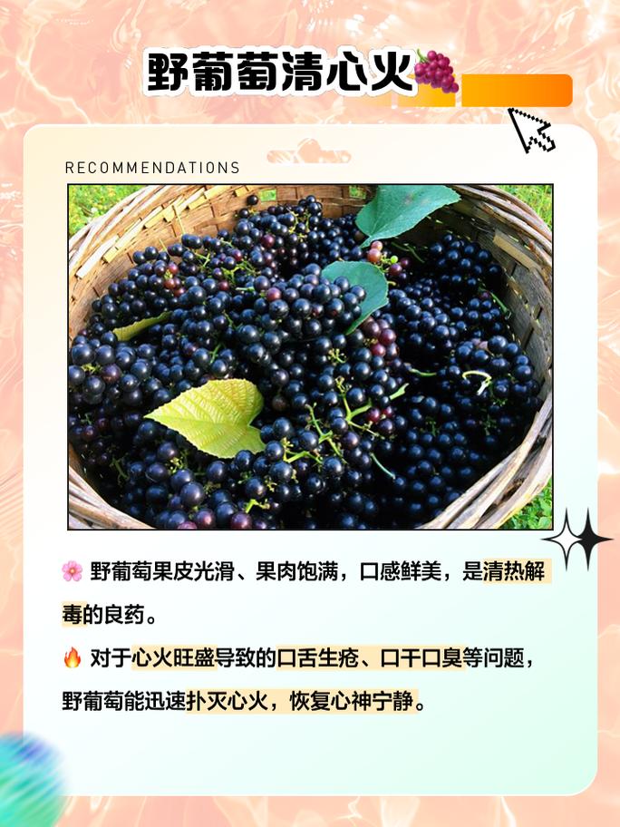葡萄的功效与作用好处