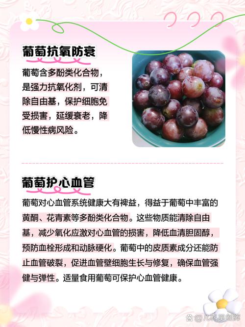 葡萄的功效与作用和营养