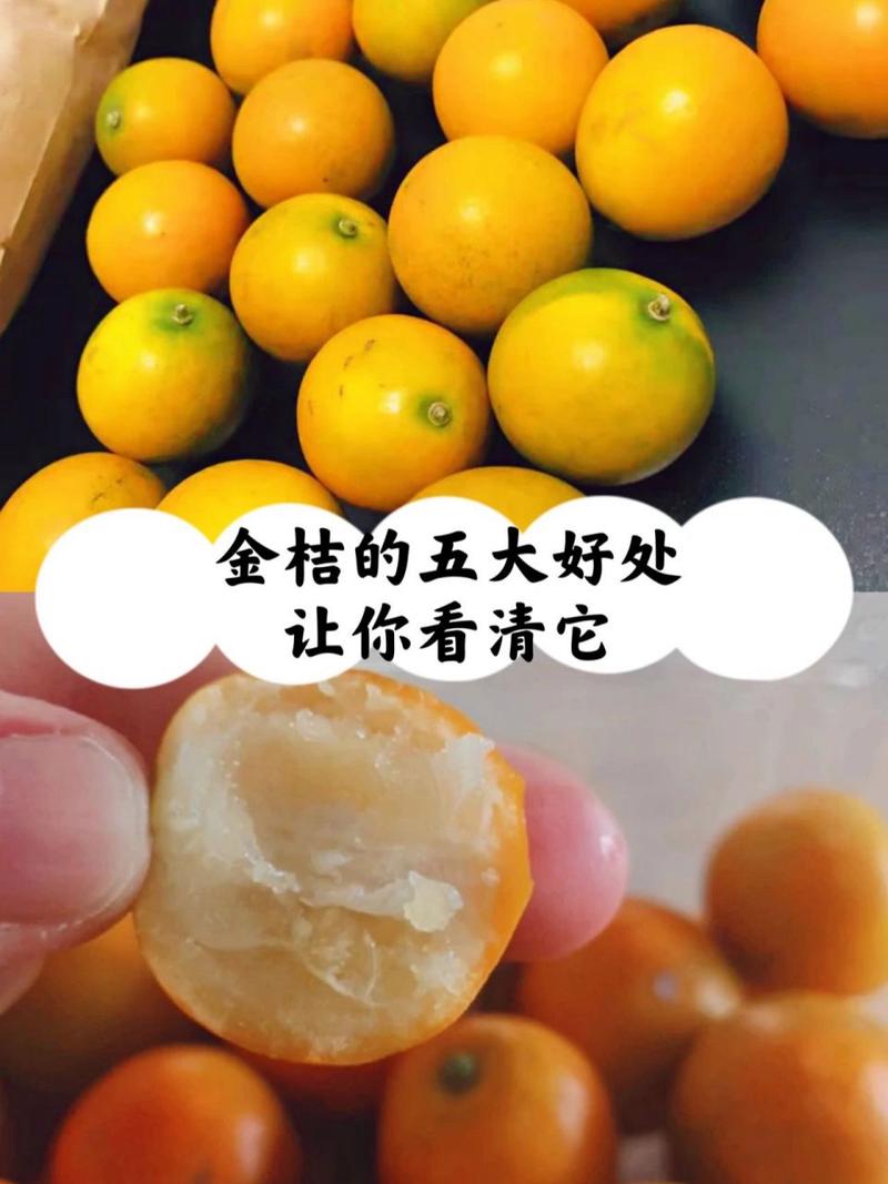 金桔的功效与作用