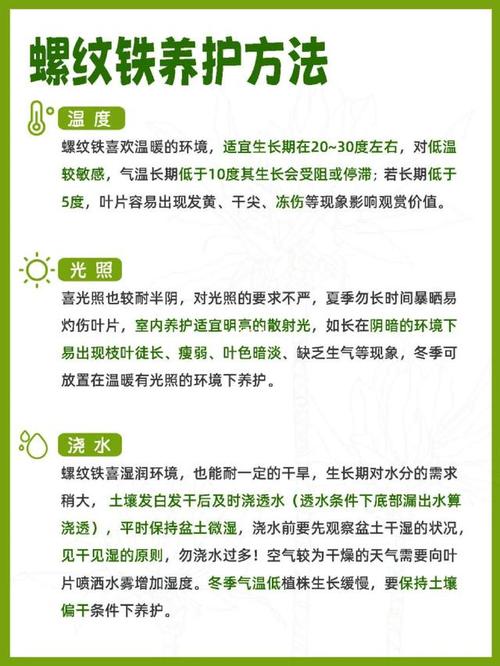 新买的螺纹铁怎么养