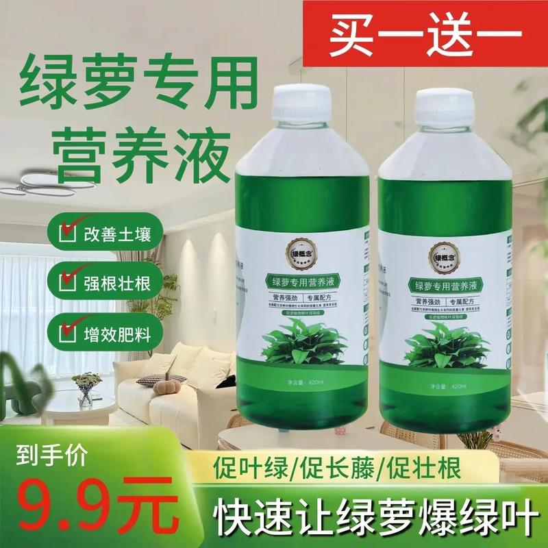绿萝的营养液怎么使用方法