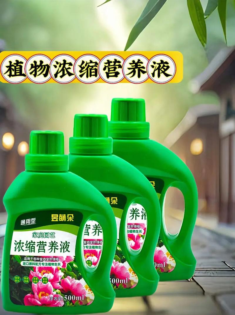 绿萝营养液是应该如何兑水使用的?