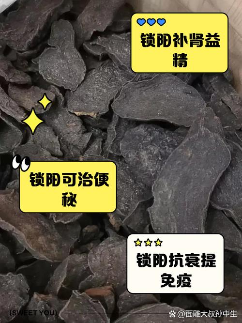 锁阳的功效与作用与主治