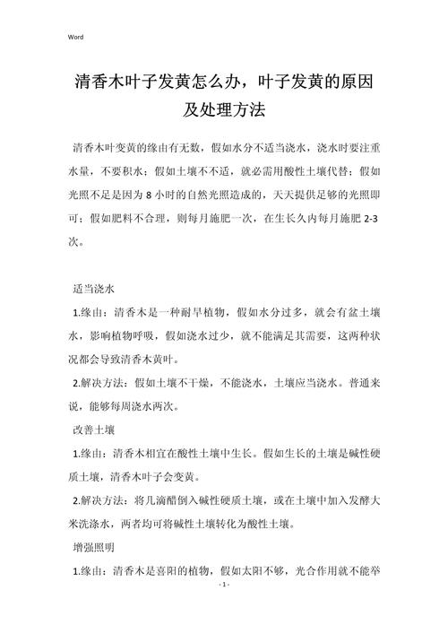 清香木叶子发黄怎么办处理方法