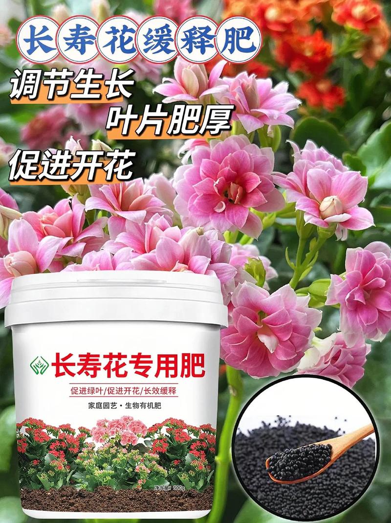 家庭养花用什么肥料就够了