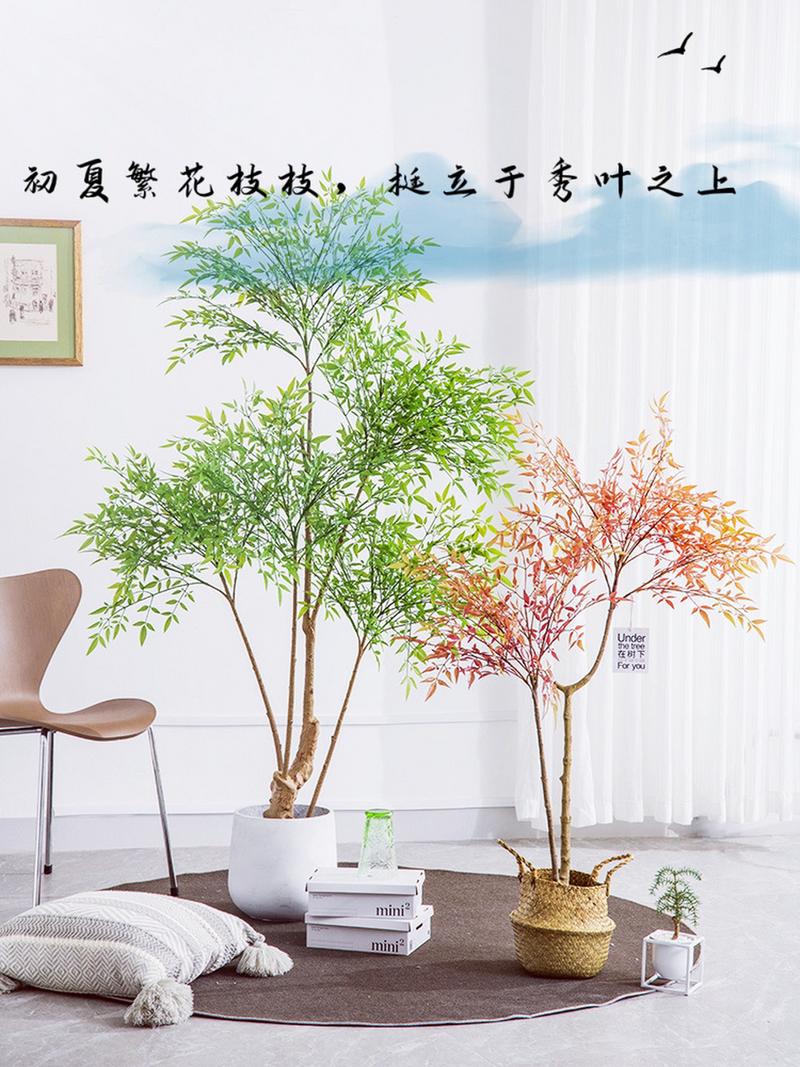 养殖南天竹对人体有害吗室内
