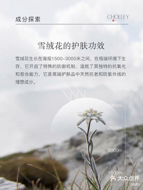 雪绒花护肤品的功效与作用