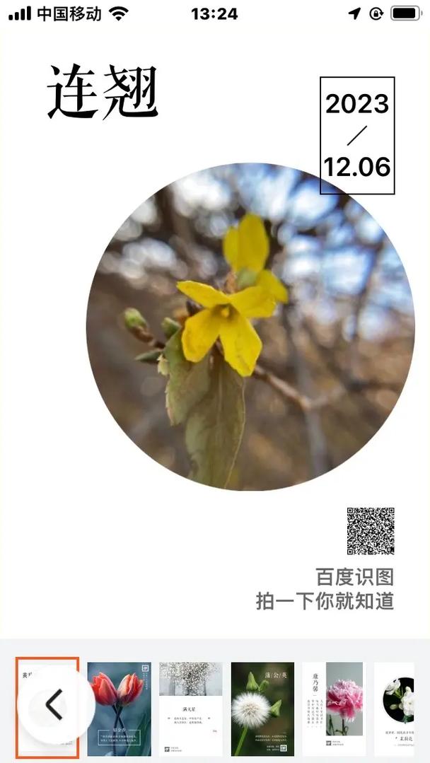 连翘开花不结果怎么办
