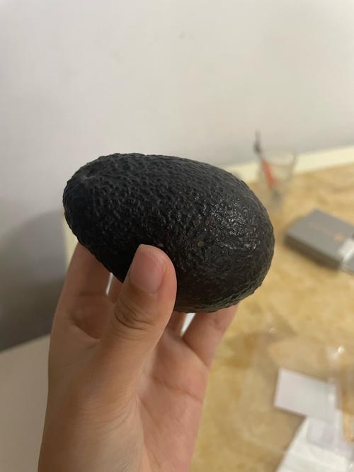 牛油果怎么繁殖的,牛油果的繁殖方法