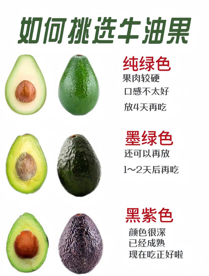 牛油果如何繁殖