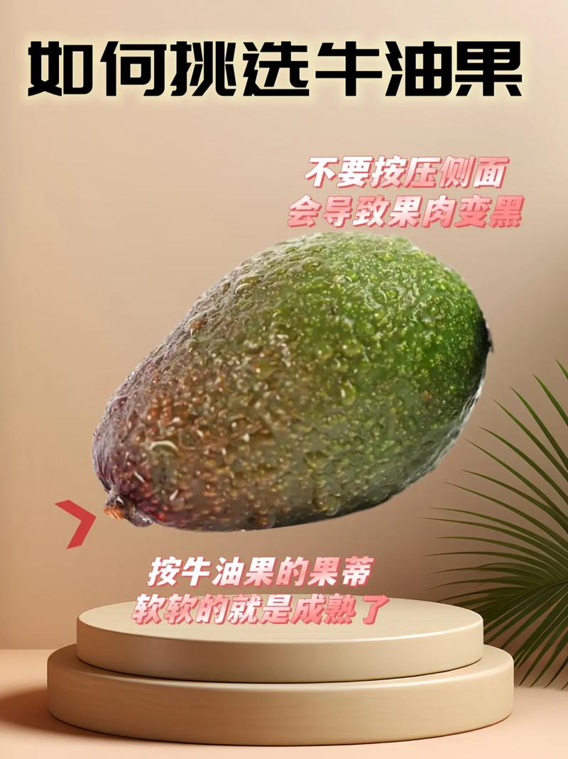 如何嫁接牛油果