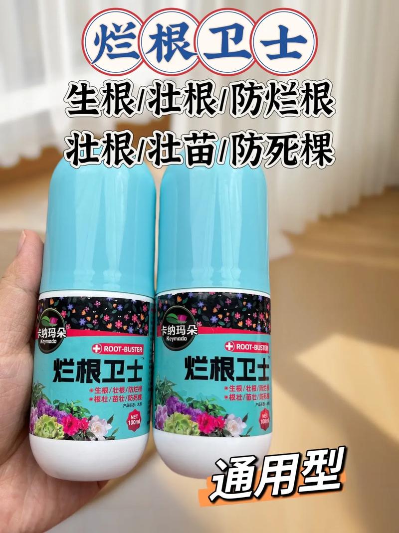 水养花烂根怎么回事