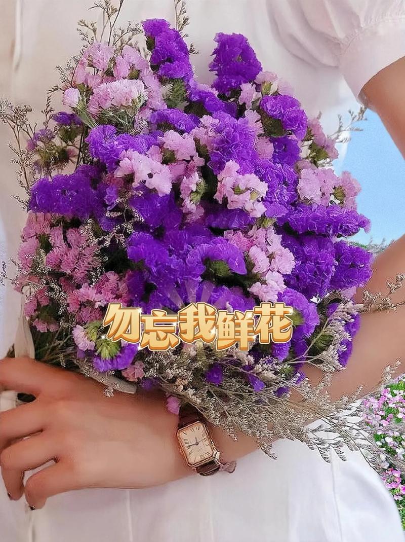 勿忘我的花语和传说