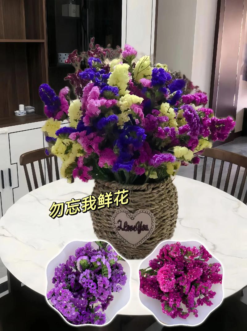 勿忘我花语和传说_你具体都了解多少?