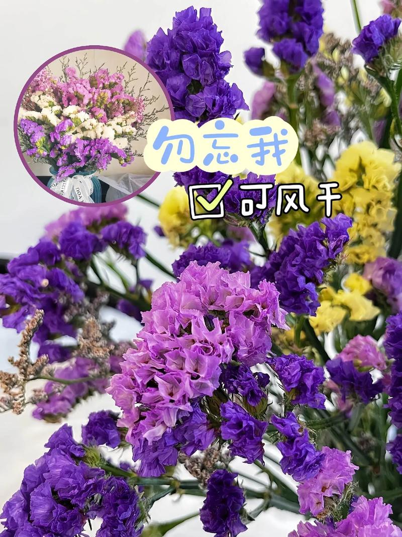 勿忘我的花语是什么