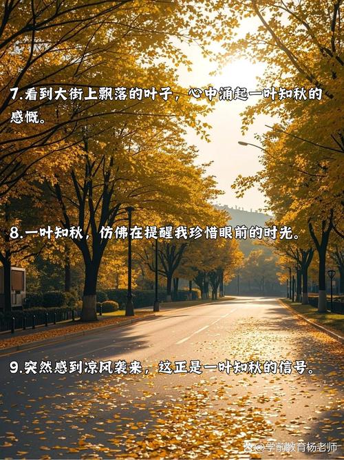 一叶知秋造句三年级