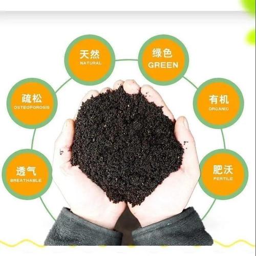 虎皮兰会不会长虫?有没有解决方法?