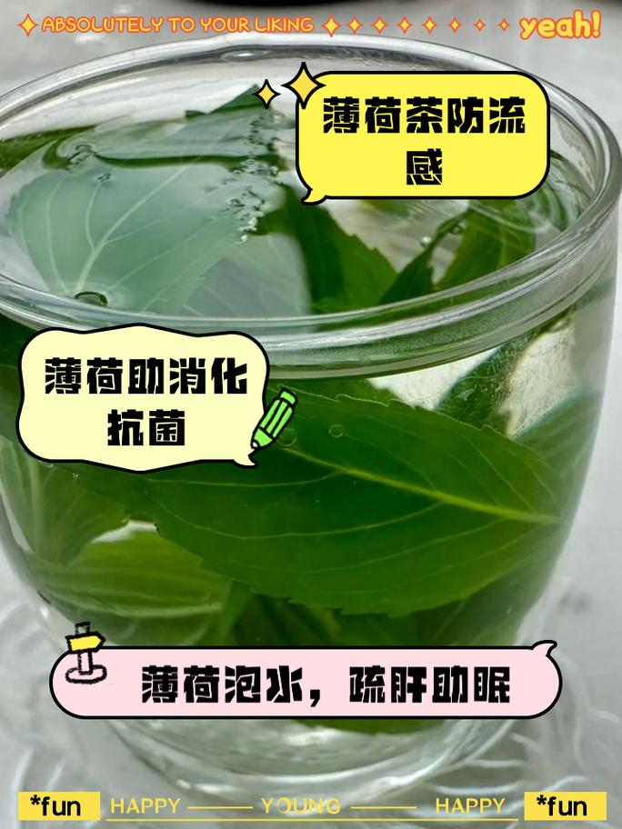 薄荷叶泡水的功效可以减肥么
