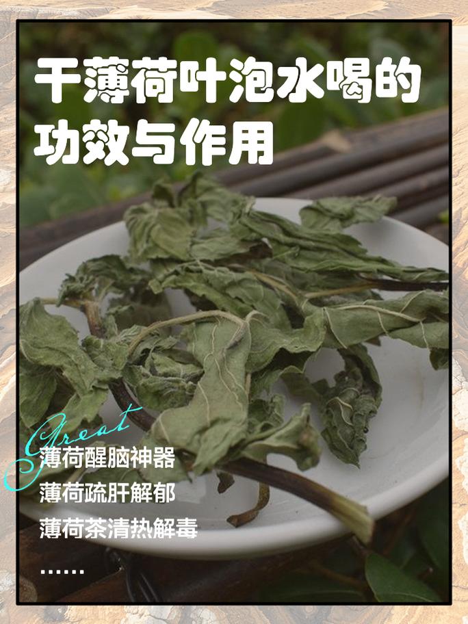 薄荷叶泡水能减肥吗