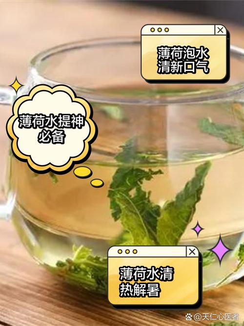 喝薄荷叶泡的水能减肥吗