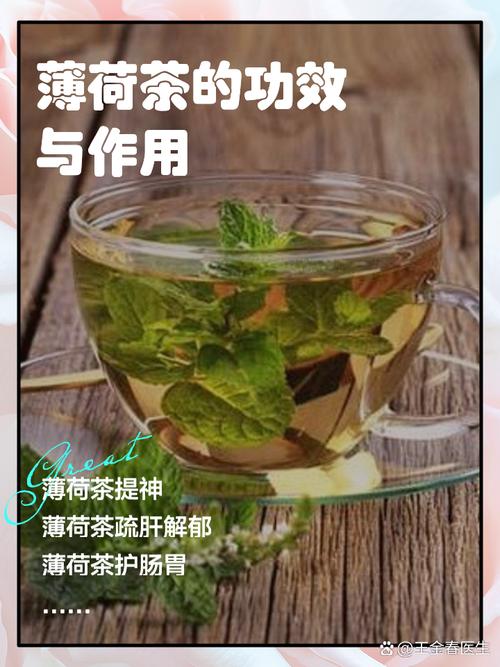 喝薄荷茶能减肥吗