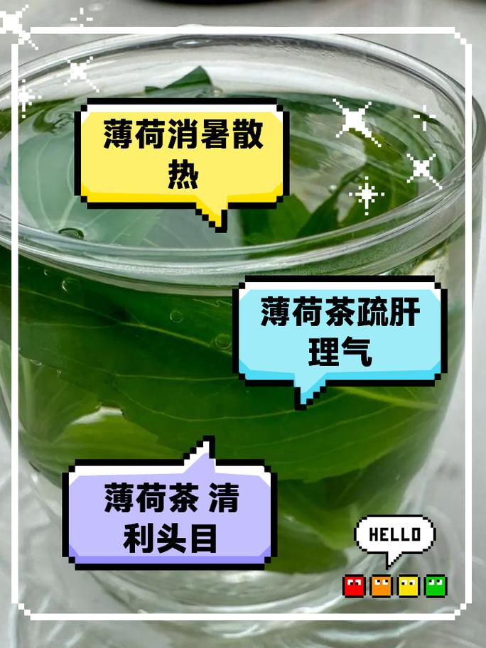 薄荷叶泡水喝可以减肥吗