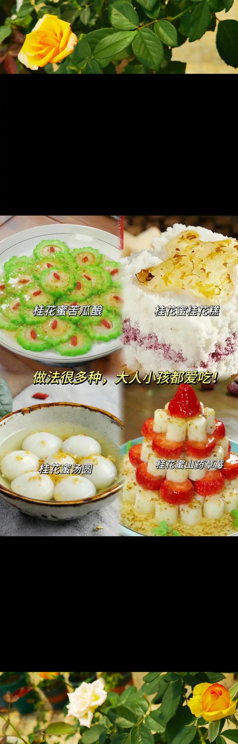 桂花一年开几次花花期是多久