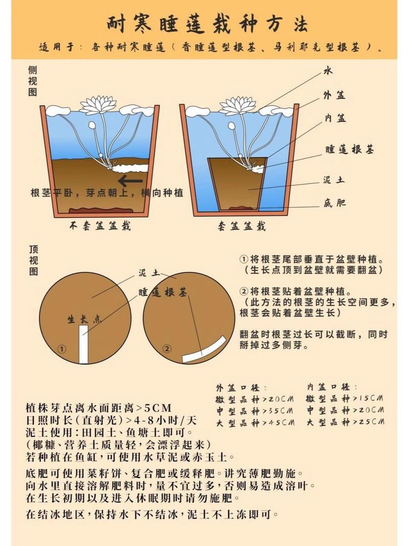 睡莲种植的条件有哪些
