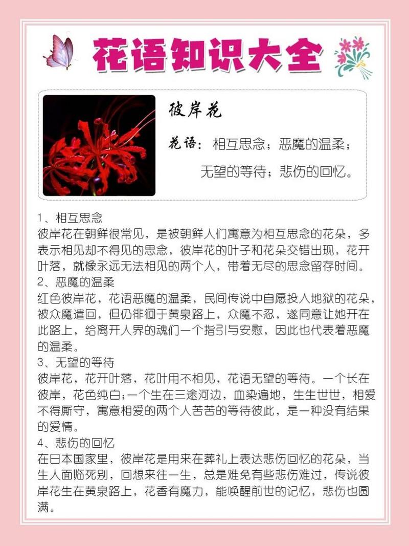 彼岸花的含义是什么?