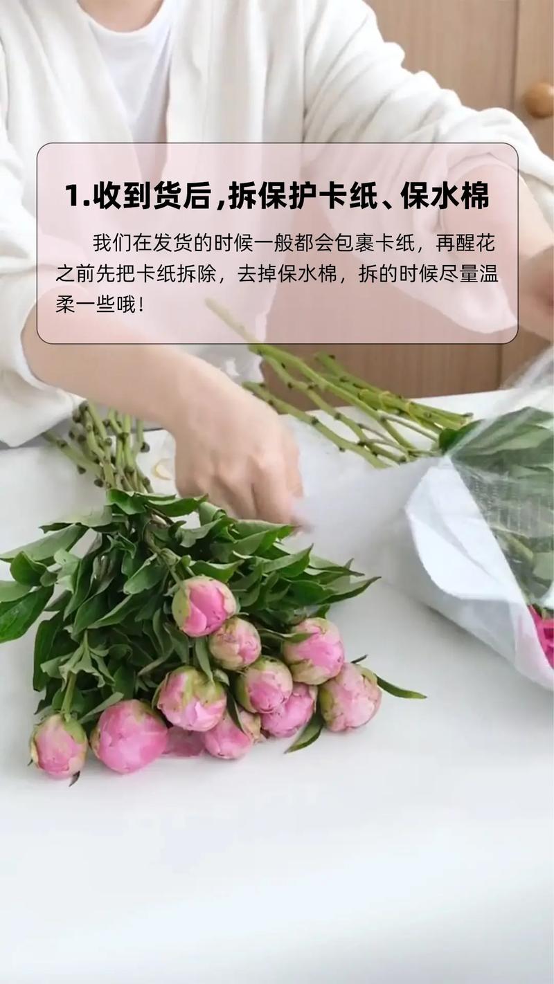 草芍药的养殖方法