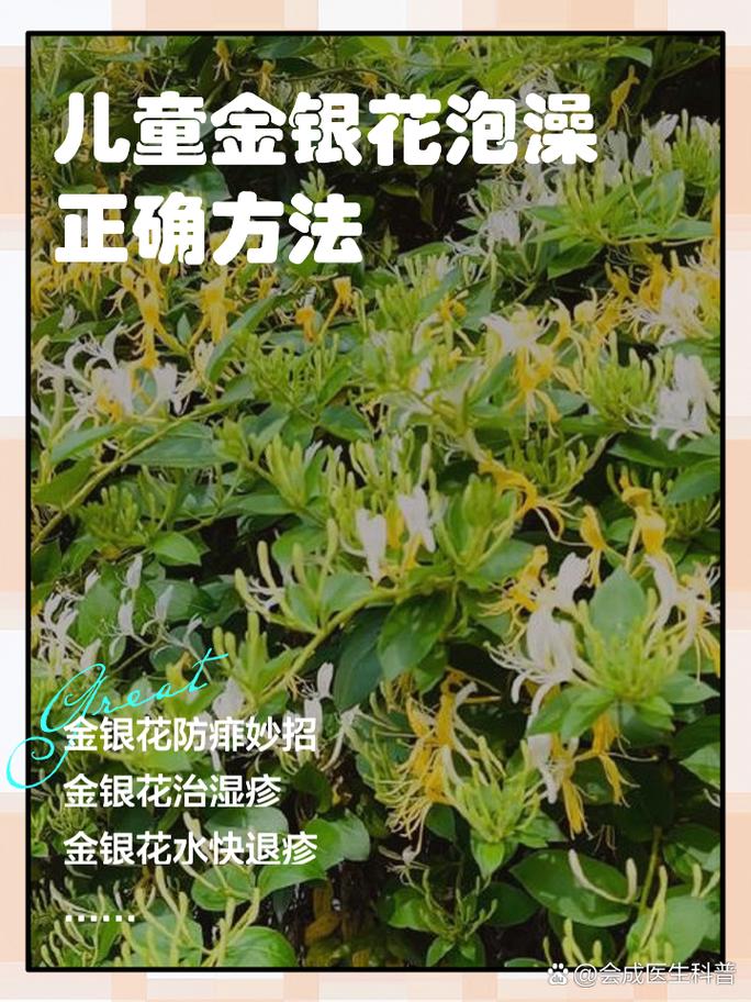 金银花多少天浇次水