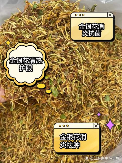 金银花多少天浇水