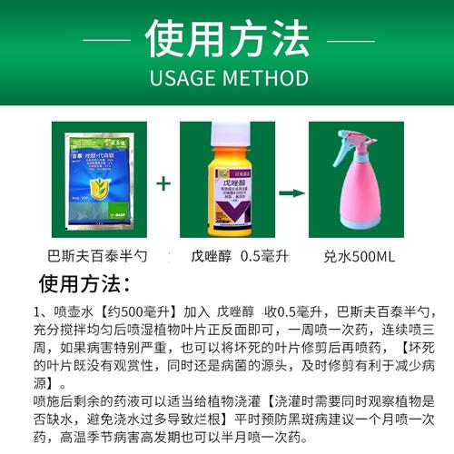 绿萝黑斑病用啥药