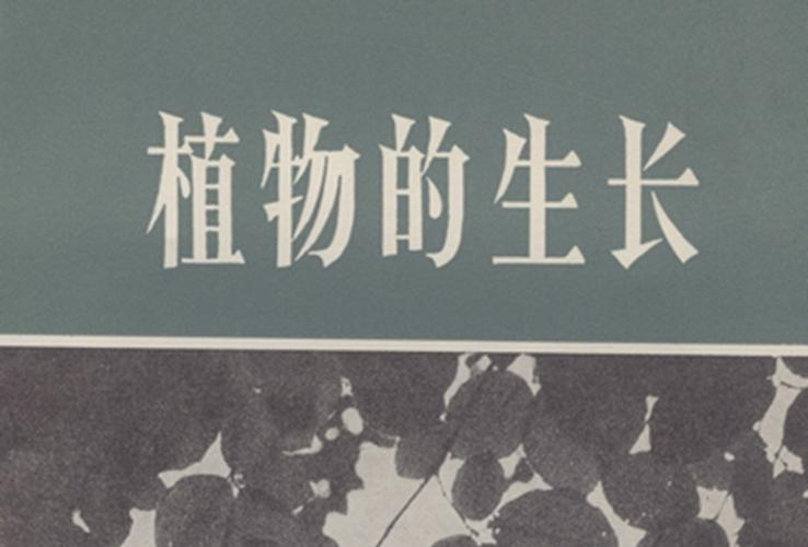原始植物的诞生