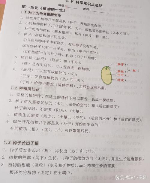 植物的演变过程