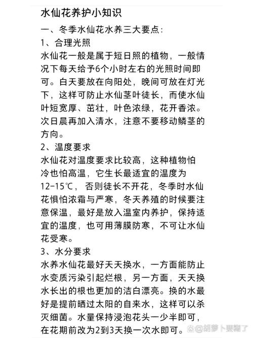 水仙花开花以后怎么养护