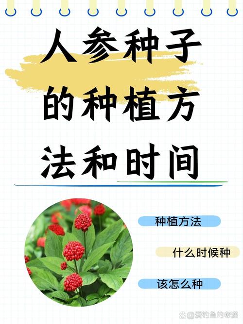 土人参怎么种植