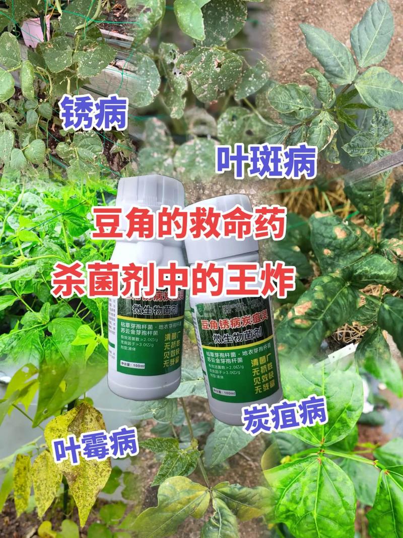 羽扇豆有什么病虫害是需要提前防治的,常用除虫病害的药物有哪些?_百度...