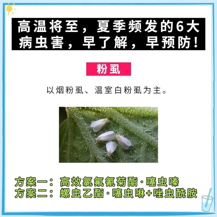 荇菜的病虫害及防治方法