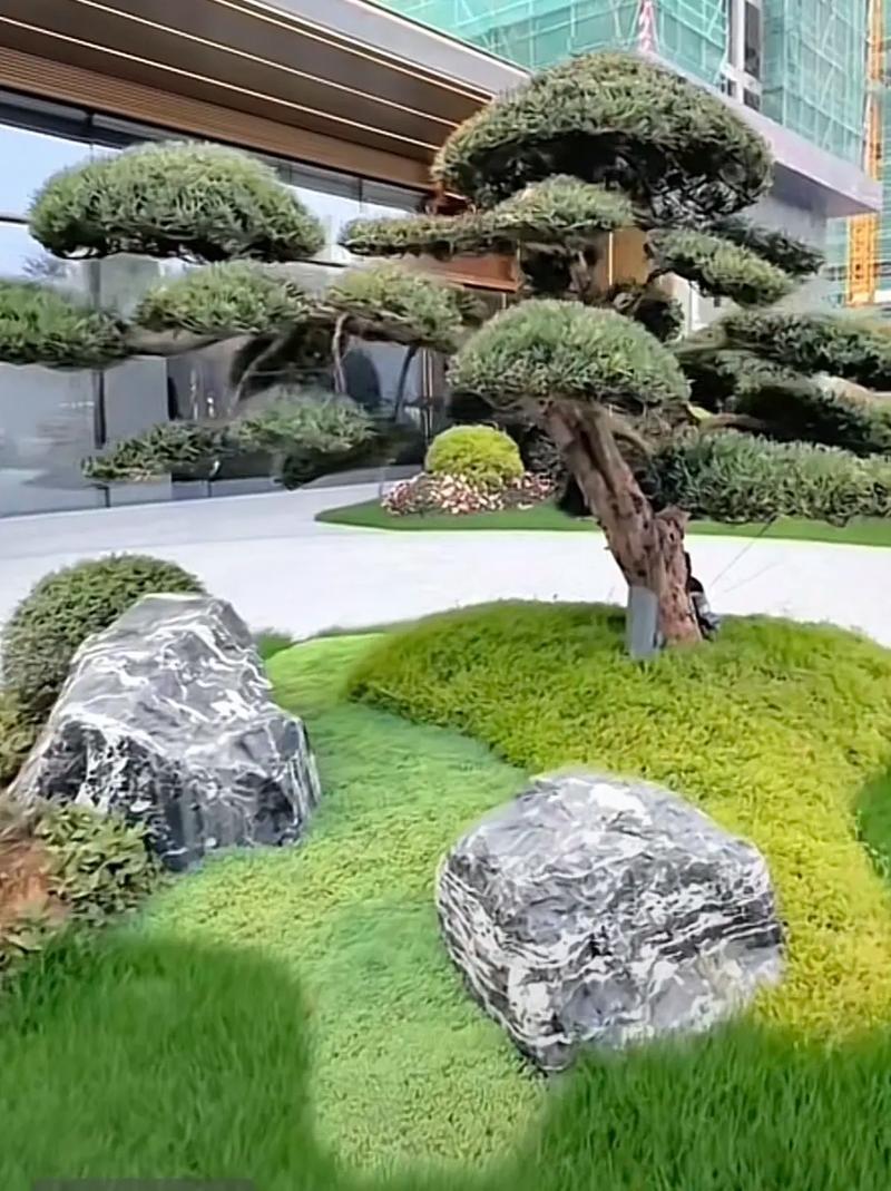 薄雪万年草冬天怎么养