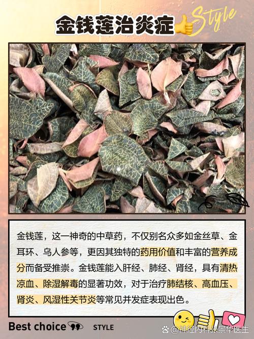 金银莲花的养殖方法