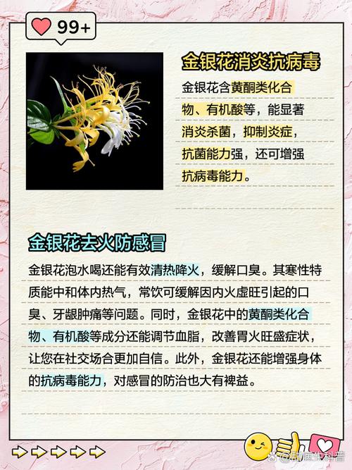 金银花夏天可以晒太阳吗,夏天怎么养护