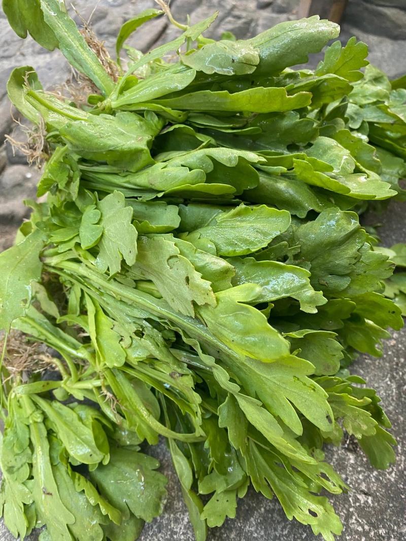 吃不完的蔬菜要怎么处理