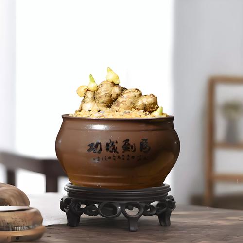 买啥姜,自己种都吃不完,还当盆景赏