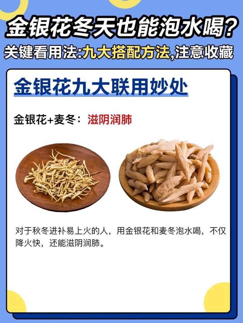金银花怎么过冬天