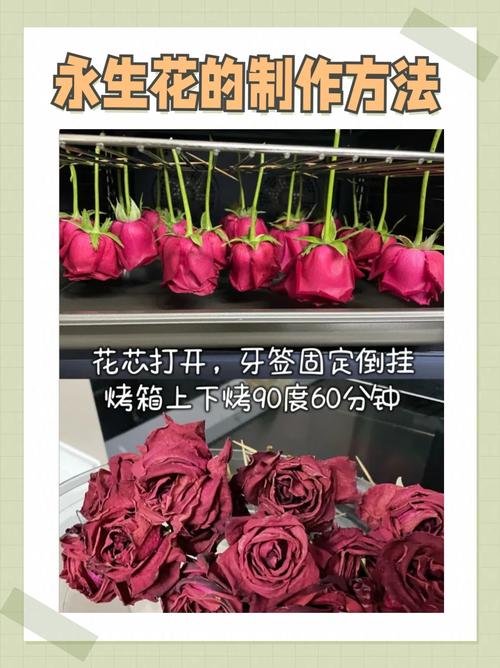 鲜花的保存方法