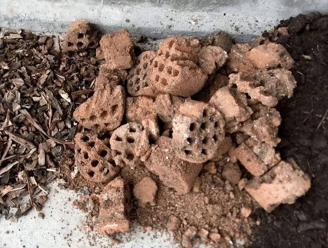 什么花喜欢碱性土壤