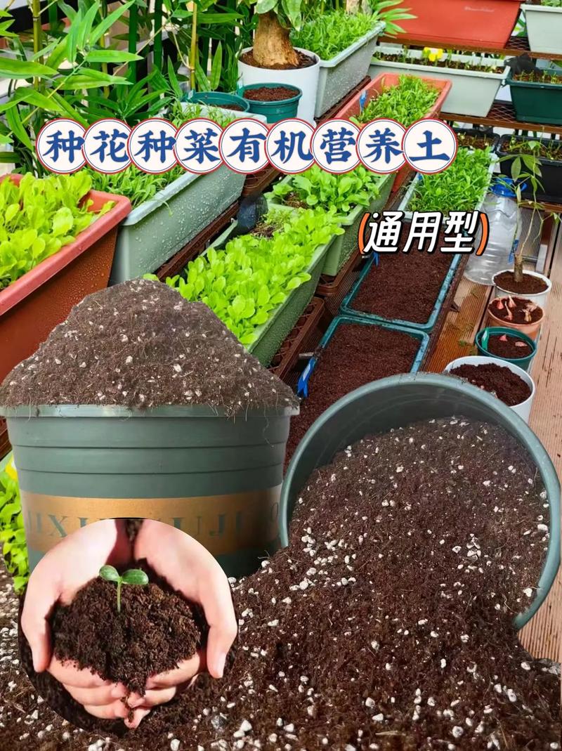 哪些花卉喜欢酸性土?哪些花卉适宜碱性土?